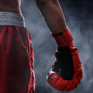Kako izbrati pravega boksarja za stavo